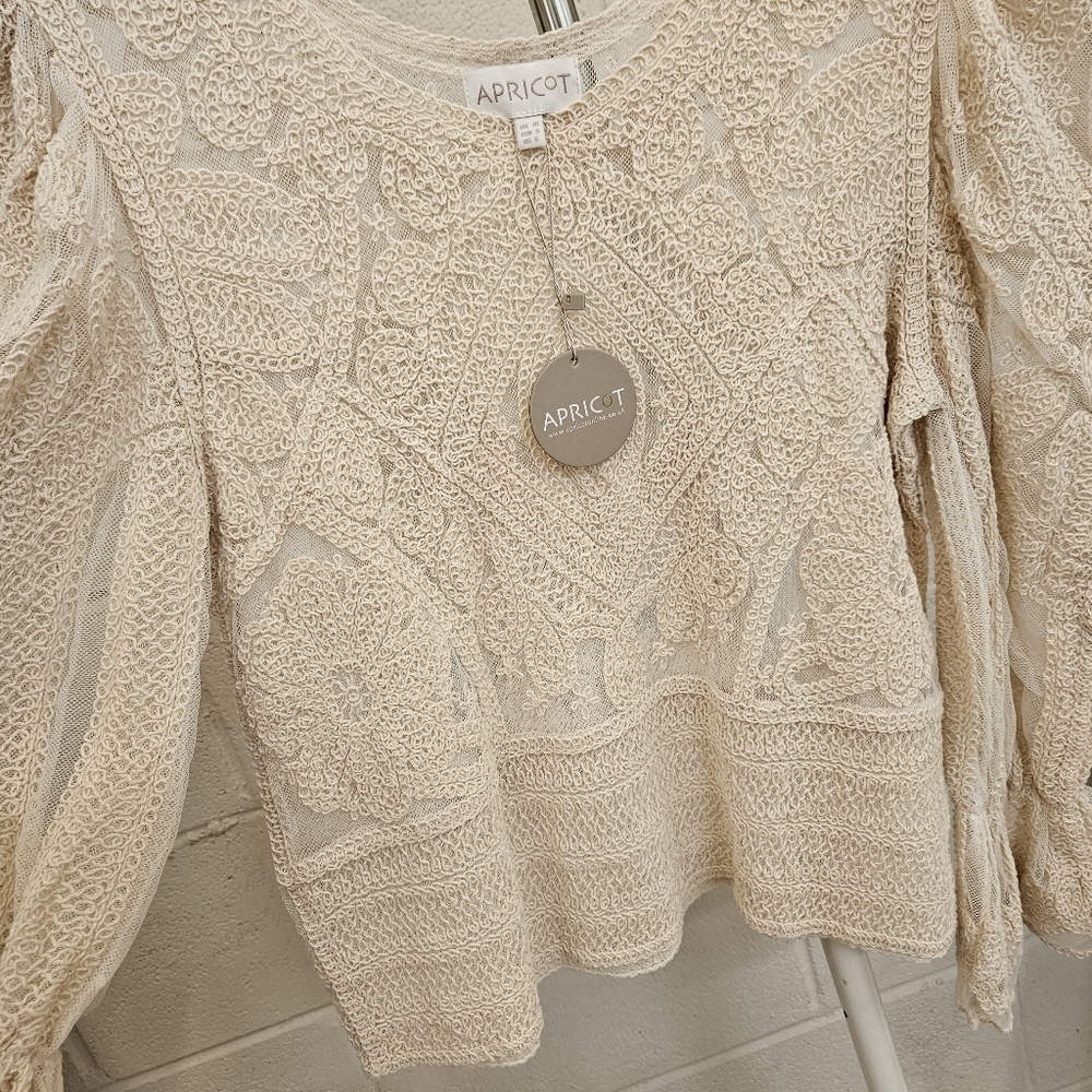 Banded Sleeve Lace Top - Picture 3 of 9